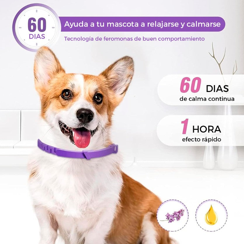 COLLAR CALMANTE PARA PERROS X 3