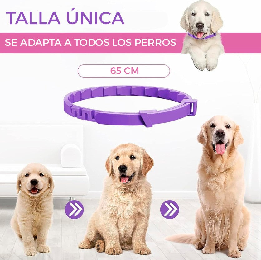 COLLAR CALMANTE PARA PERROS X 3